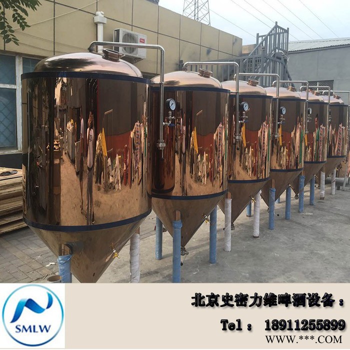 史密力维SMLW-100L 啤酒设备  酒吧 酒店啤酒设备**图8