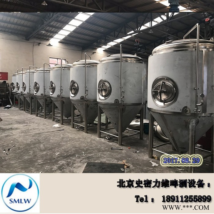 史密力维SMLW-100L 啤酒设备  酒吧 酒店啤酒设备**图5