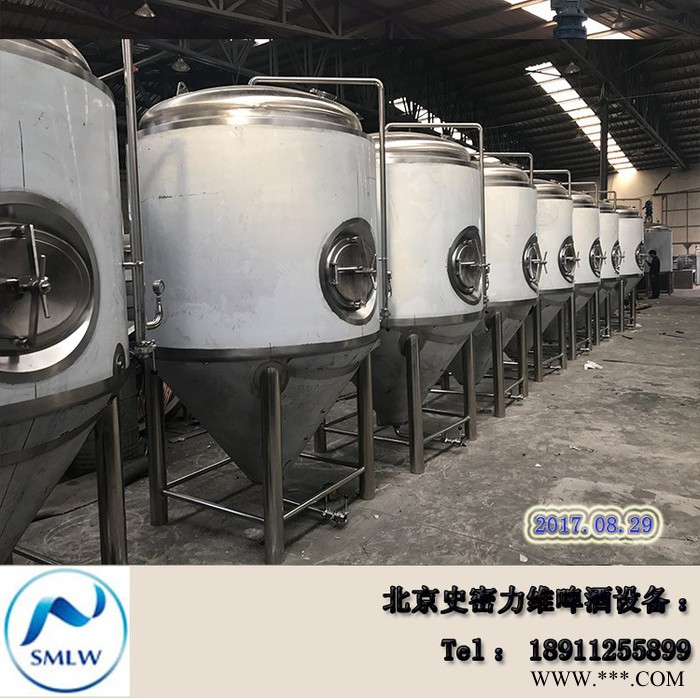 史密力维SMLW-100L 啤酒设备  酒吧 酒店啤酒设备**图6
