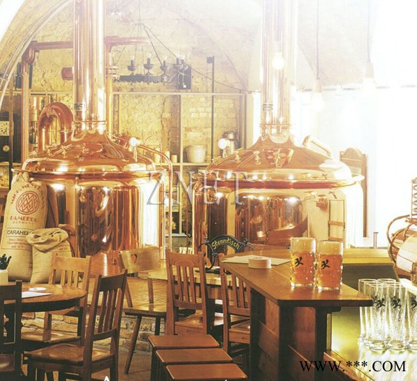 微型啤酒设备,中酿啤酒实验设备,啤酒发酵设备,啤酒机械设备图3
