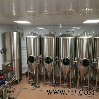 啤酒屋自酿鲜啤酒设备&精酿啤酒设备价格实惠---推荐济南豪鲁图5
