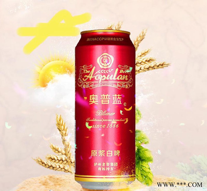 泸州老窖奥普蓝原浆白啤酒聚会用酒拉灌整箱啤酒500ml 12听整箱图3