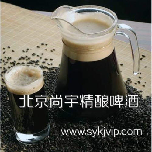 新品特价 自酿啤酒设备100L-5000L 精酿啤酒设备图2