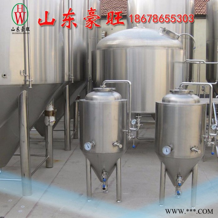 山东豪旺+HW-2000L+小型啤酒设备+自酿啤酒设备+**价廉