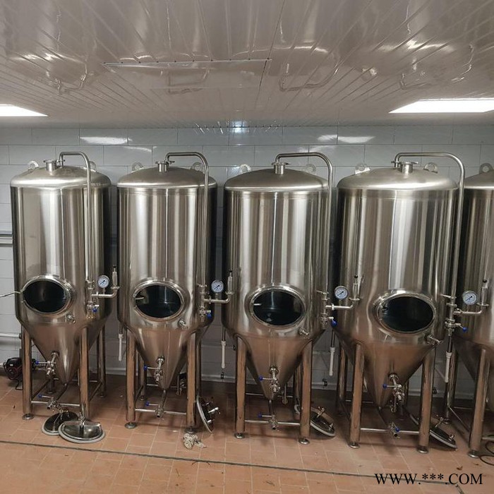 微型啤酒设备_小型精酿啤酒设备_自酿鲜啤酒设备价格优惠多多--济南豪鲁图1