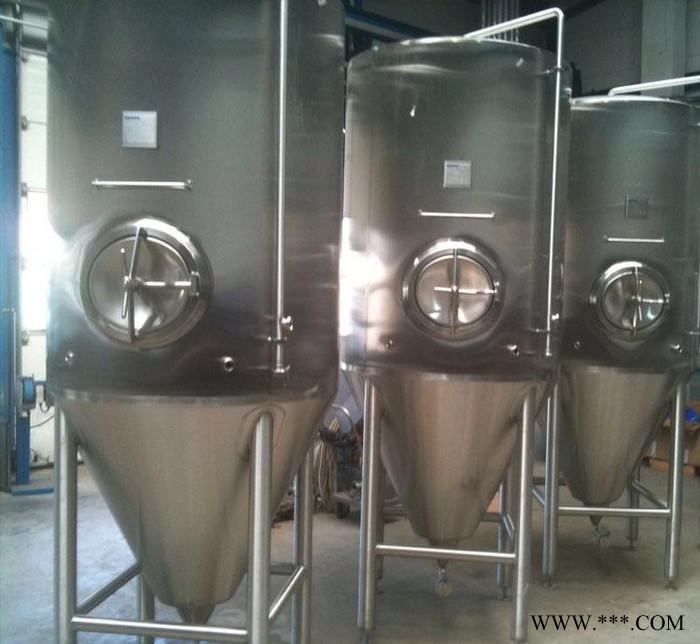 精酿啤酒设备 100L小型不锈钢啤酒发酵罐 自酿啤酒设备图1