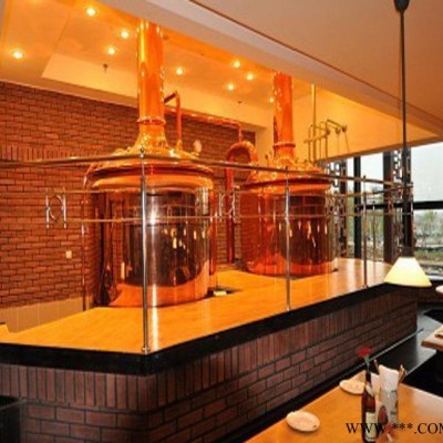 小型精酿啤酒设备生产深圳市德澳啤酒设备公司