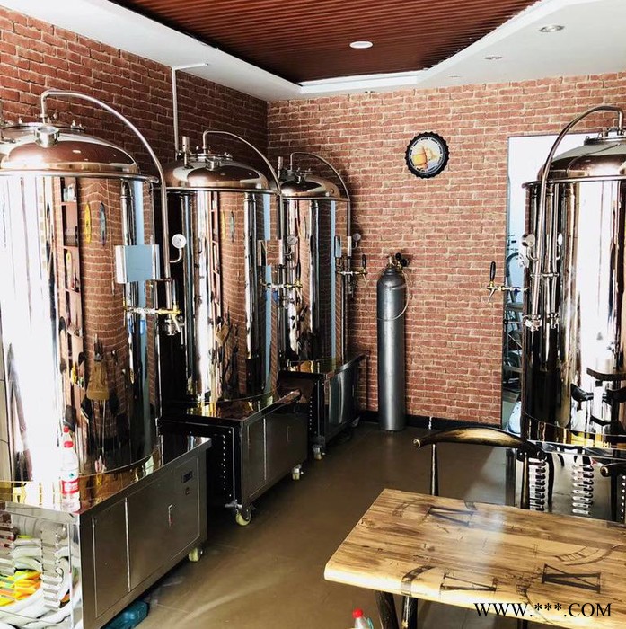 郑州大帝科技自酿精酿啤酒一体化设备 啤酒设备图2