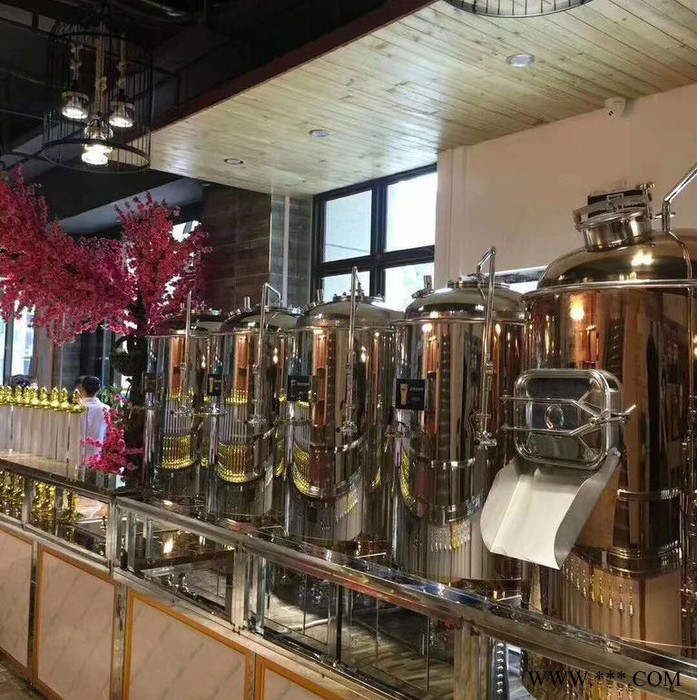 郑州大帝科技自酿精酿啤酒一体化设备 啤酒设备图3