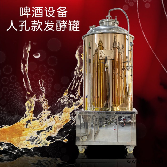郑州大帝科技自酿精酿啤酒一体化设备 啤酒设备图5