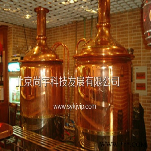 销售啤酒生产设备 啤酒设备生产线 啤酒设备生产厂家 电话议价图2