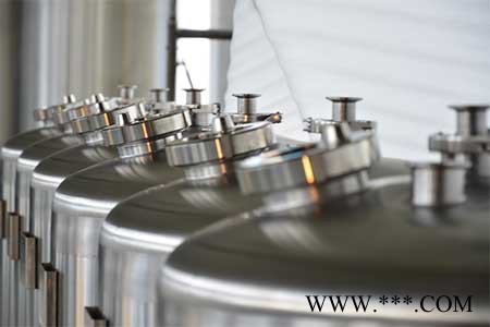 JY—100L定制家酿/实验啤酒设备啤酒设备 不锈钢发酵罐 啤酒罐