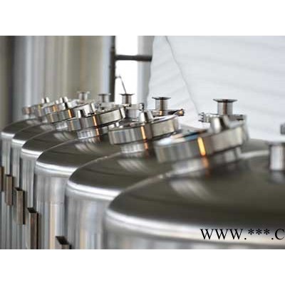 JY—100L定制家酿/实验啤酒设备啤酒设备 不锈钢发酵罐 啤酒罐