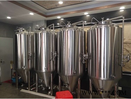 【酒吧型精酿啤酒设备生产厂家有哪些，首单有折扣】--推荐济南豪鲁图2
