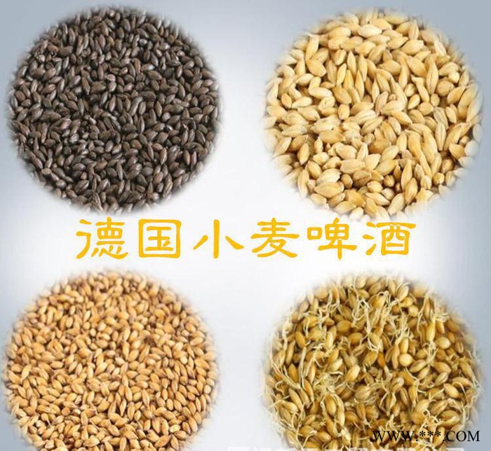 自酿啤酒设备原料 全进口原材料德国小麦啤酒(30L配方套餐）图3
