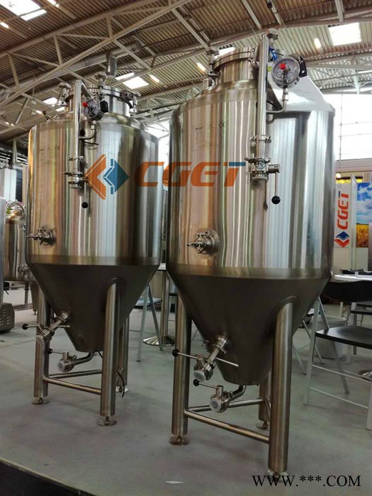 山东中德200L 精酿啤酒设备 酒店设备 酒吧设备 自酿啤酒设备图2