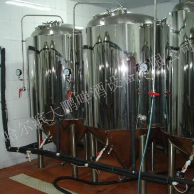 供应大鹏啤酒设备DP-500啤酒设备
