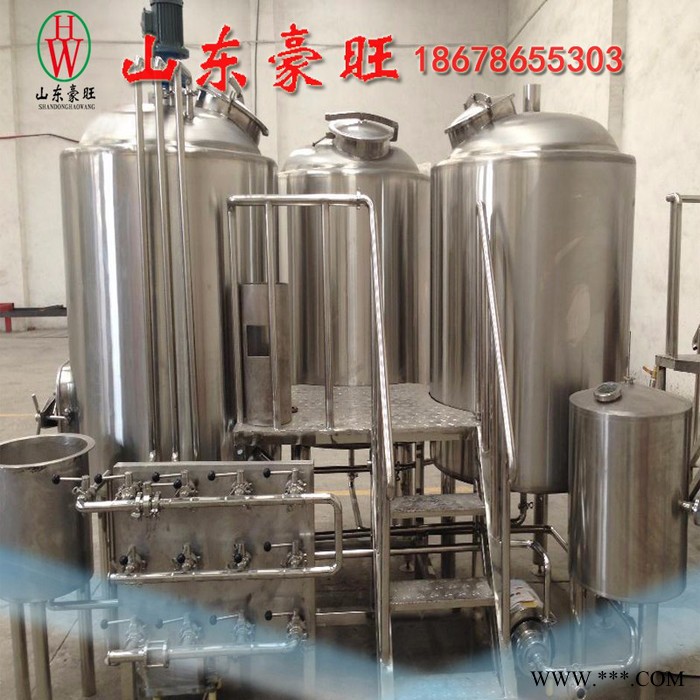 山东豪旺 啤酒设备 SDHW-500L图4