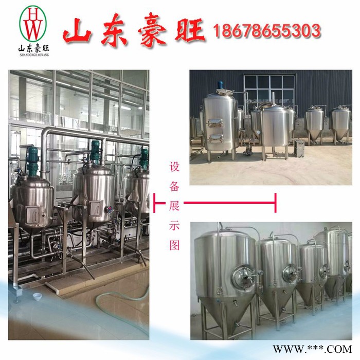山东豪旺 微型啤酒设备 SDHW-300L图2