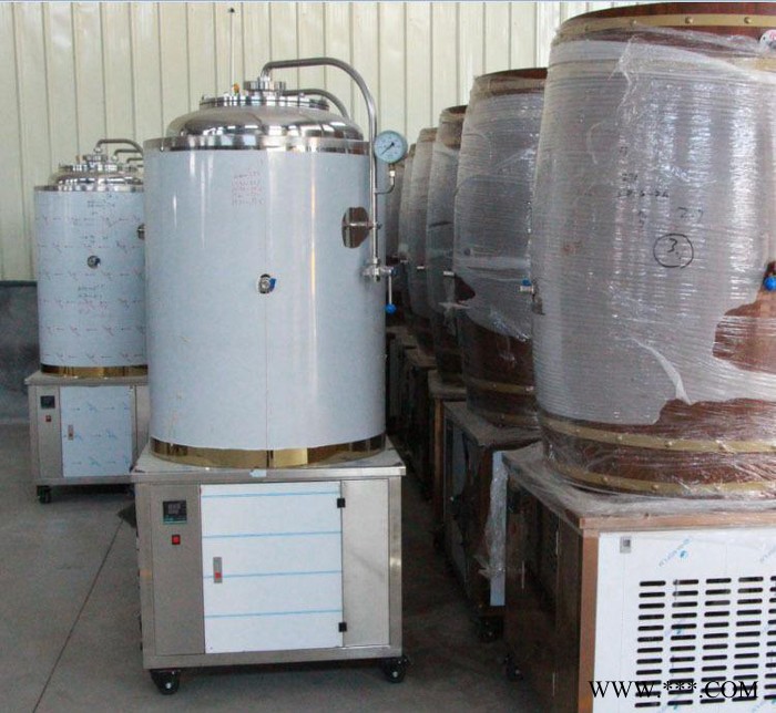 酿制啤酒生产设备 200L小型啤酒生产设备 配备不锈钢发酵罐