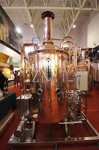 500升豪华酒店精酿啤酒设备图2
