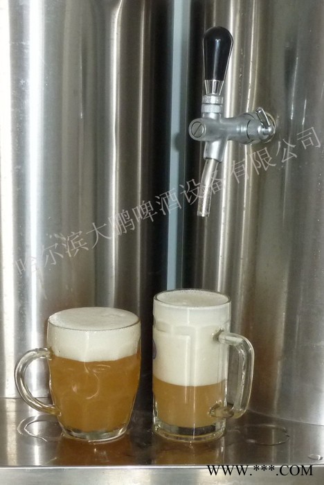 供应大鹏啤酒设备DP-30大鹏公司家酿鲜啤酒设备