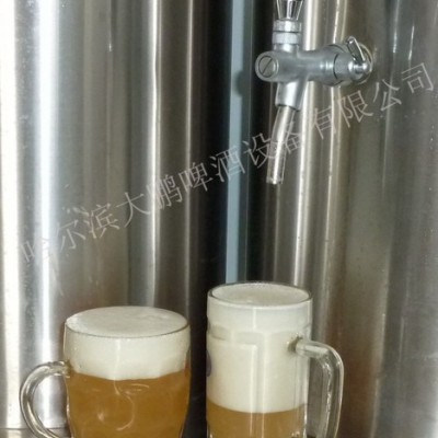 供应大鹏啤酒设备DP-30大鹏公司家酿鲜啤酒设备