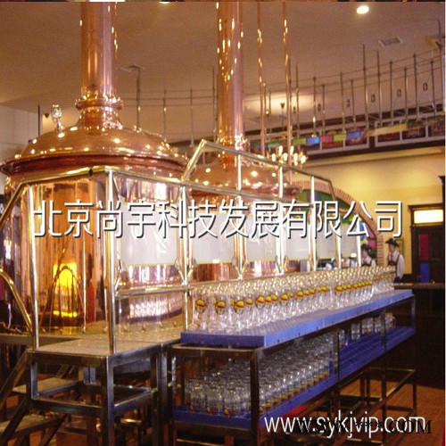 尚宇500L自酿啤酒设备**图2