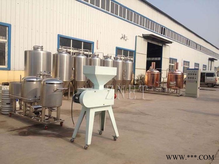中酿型自控自酿精酿啤酒设备 豪华紫铜外包酒店设备图4