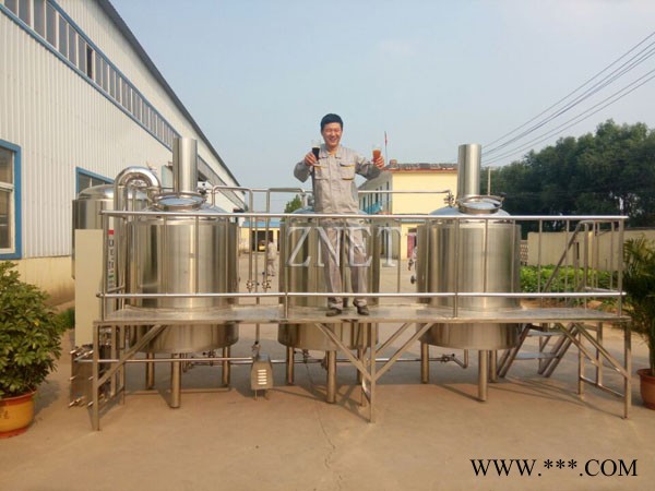 中酿啤酒设备日产300升图3