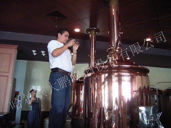 供应大鹏DP-300自酿啤酒成套设备图3