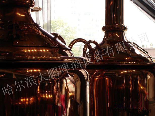 供应大鹏DP-300自酿啤酒成套设备图2