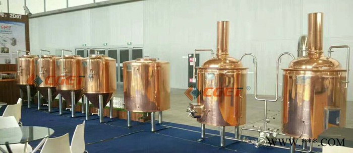 山东中德300L 精酿啤酒设备 大型酒吧专用 大型酒店专用图2
