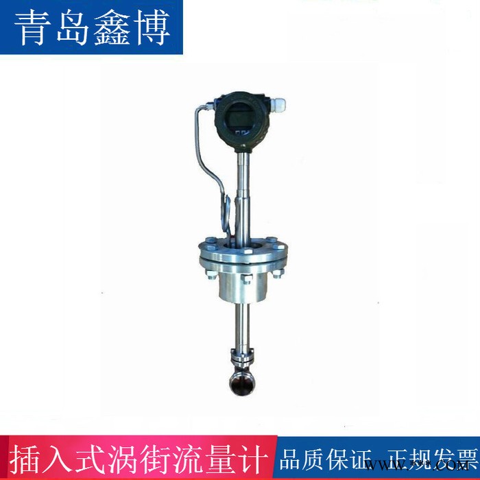 青岛鑫博 盐溶液流量计 乙酸流量计 污泥流量计图3