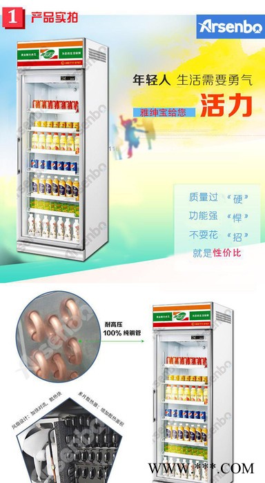 雅绅宝制冷 饮料展示柜 SG06L1F 立式冰箱冰柜/冷藏展示柜/冷冻展示柜/食品展示柜/啤酒柜/疫苗柜/蔬菜柜图3