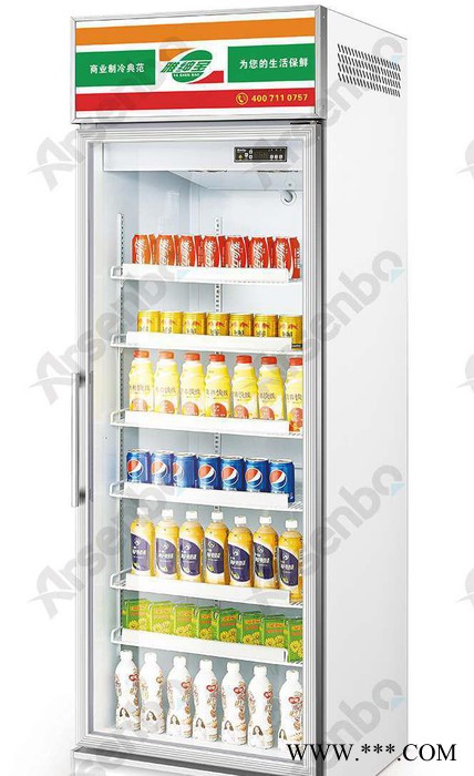 雅绅宝制冷 饮料展示柜 SG06L1F 立式冰箱冰柜/冷藏展示柜/冷冻展示柜/食品展示柜/啤酒柜/疫苗柜/蔬菜柜