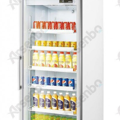 雅绅宝制冷 饮料展示柜 SG06L1F 立式冰箱冰柜/冷藏展示柜/冷冻展示柜/食品展示柜/啤酒柜/疫苗柜/蔬菜柜
