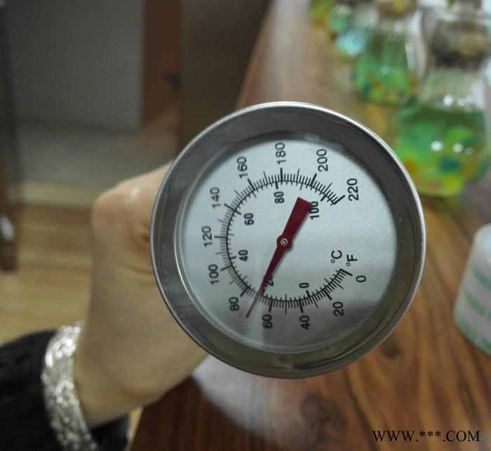 304不锈钢设备 表盘式温度计0-100℃ 测量啤酒机酿酒图2
