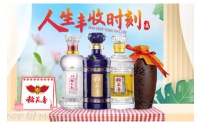 稻花香酒品牌招商