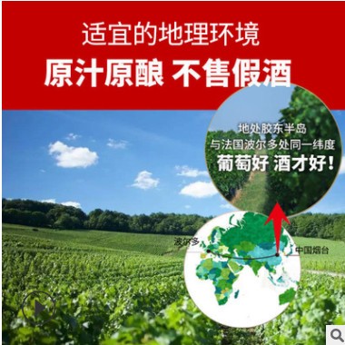鹏辉酒业批发代发网红高度酒西米贝尔米洛法国干红葡萄酒750ml图3