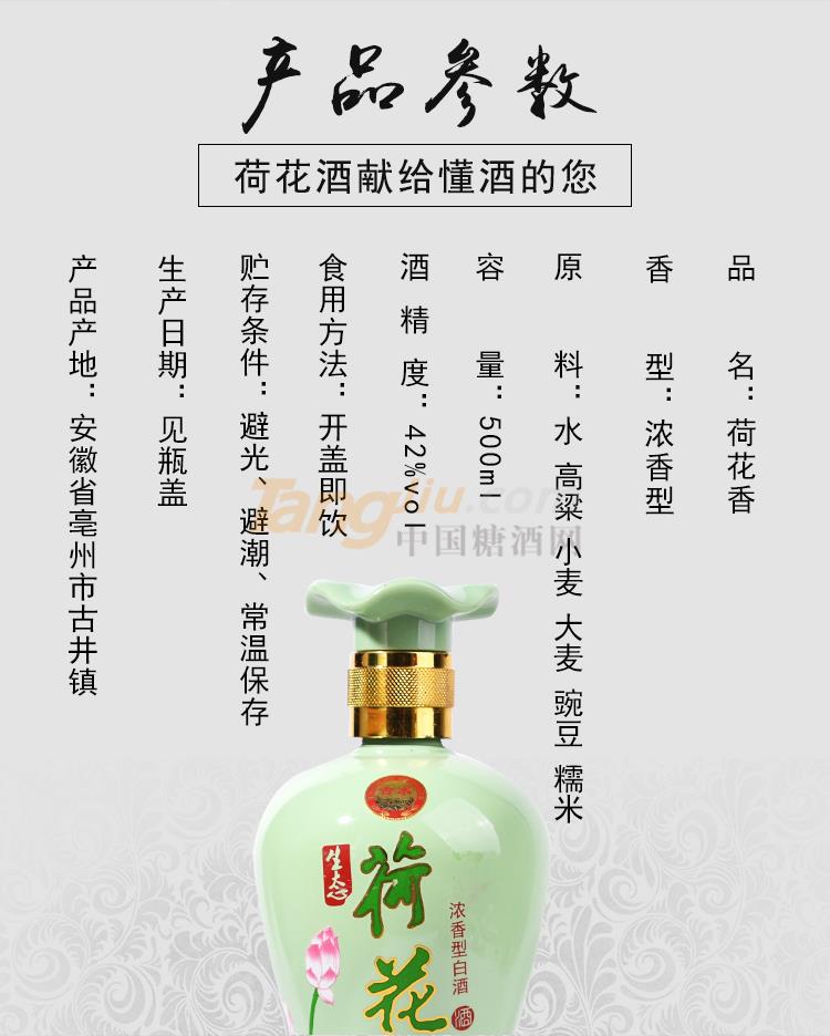 生态荷花_02.jpg