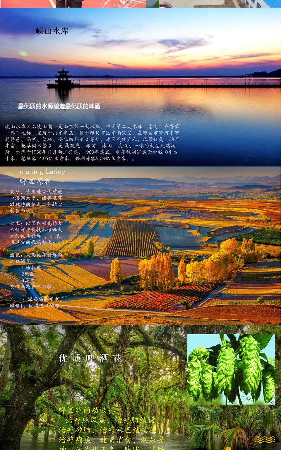 招商政策_01.jpg