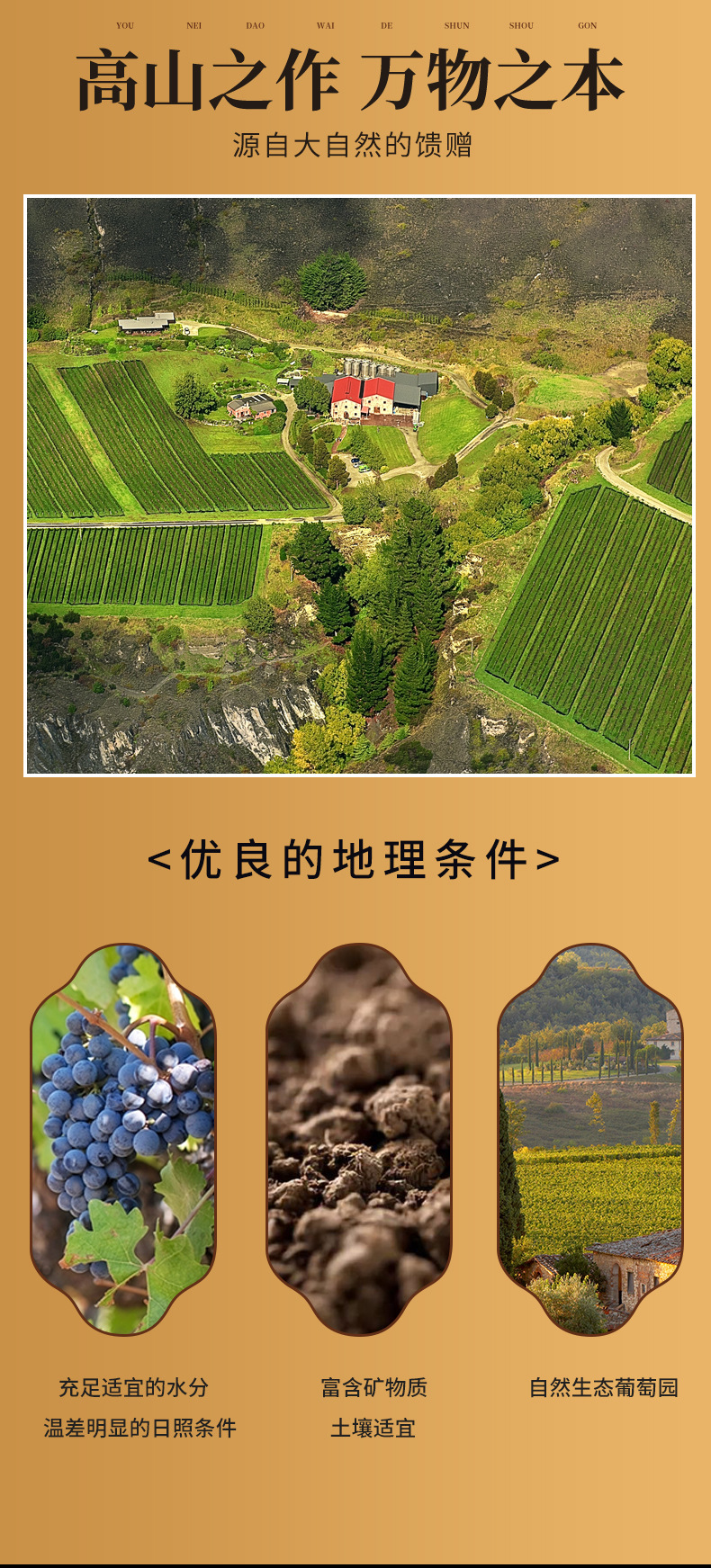 详情_05
