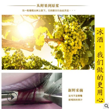 冰白葡萄酒双支礼盒装 低价红酒代理500ml低度甜酒图2