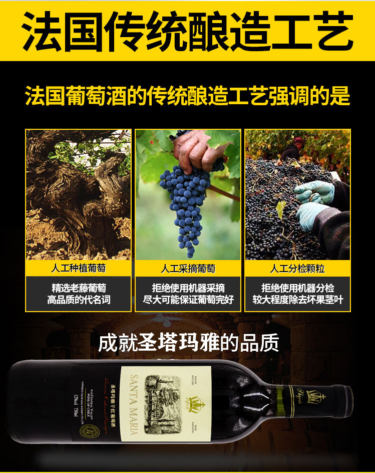 干红酿造工艺