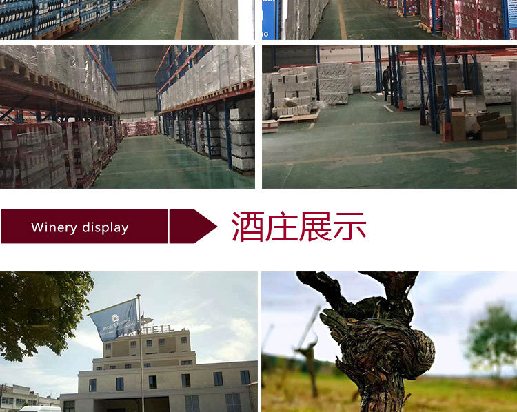 盖拉德_11