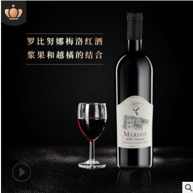 意大利原瓶原装进口红酒 梅洛红干红葡萄酒750ml 团购招商代理图2