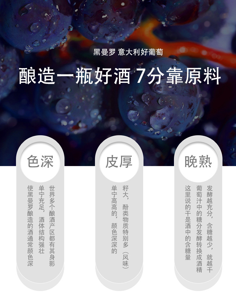 珠丽亚(1)_05.jpg