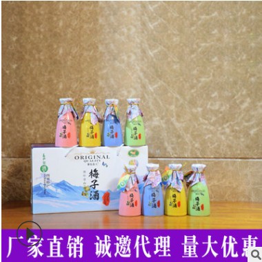 四川青梅酒礼盒甜酒少女水果酒梅子酒小酒聚会酒加工代理批发图3