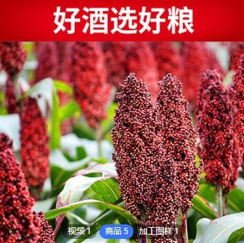 酒水代理53度清香型白酒散装酒可贴牌定制高粱白酒整箱批发图2